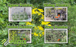 Free Wild Flowers Puzzle Games screenshot 2