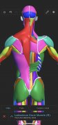 Visual Anatomy 3D | Human screenshot 11