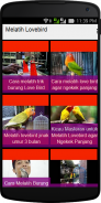 Melatih Lovebird screenshot 0