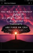 Bible Verse Wallpapers screenshot 8