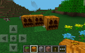 New Mini Master Craft 2020 screenshot 1