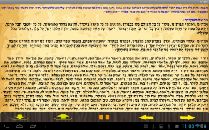 תמנידור screenshot 3