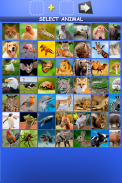 Mix Aminals. Animal morphing screenshot 23