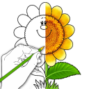 Coloring Book - Tap and Paint pages