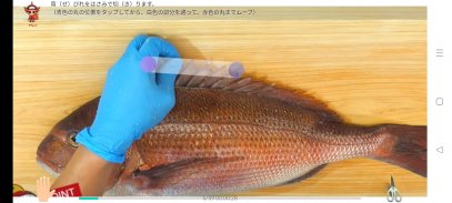 真鯛の三枚おろしに挑戦　＋　魚の王様真鯛図鑑 screenshot 2