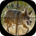 Pide Caza Coyote Icon