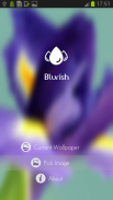 Blurish - 模糊壁纸免费 screenshot 0