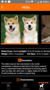 Dogipedia - Dog breed selector and list of breeds screenshot 11