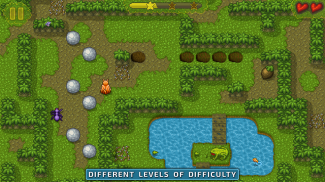 Sokoban Game: Puzzle in Maze screenshot 6