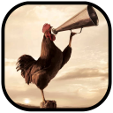 Wild Rooster Sounds Icon