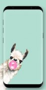 Cute Llama Wallpapers screenshot 7