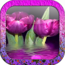 Purple Sparkle Tulips LWP Icon