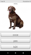 Belajar kata bahasa Ceko dengan Smart-Teacher screenshot 8