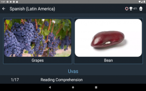 Latin American Spanish Tests screenshot 14