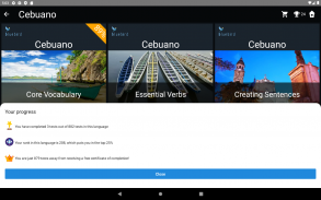 Cebuano Language Tests screenshot 3