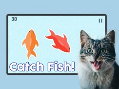 Fish for Cats - Cat Fishing screenshot 0