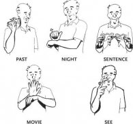 Sign Language for Beginners screenshot 0