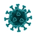 Falling Virus