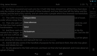 Bible - Offline translations screenshot 8