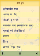 हिंदी व्याकरण प्रश्नोत्तरी screenshot 2