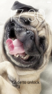 Pug Lock Screen screenshot 4