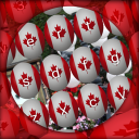 Tastiere canadesi Icon