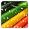 Color Keyboard For Kids Icon