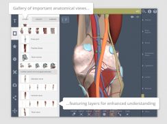 Knee: 3D RT - Sub screenshot 5