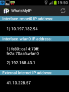WhatsMyIP for Android screenshot 2