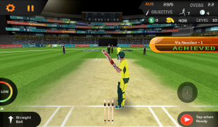 Cricket Champions Cup 2017 screenshot 17