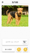 犬の品種 - 犬に関するクイズ！ screenshot 5