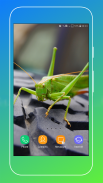 Grasshopper Wallpaper screenshot 9