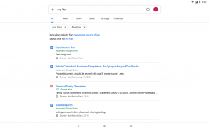 Google Cloud Search screenshot 9