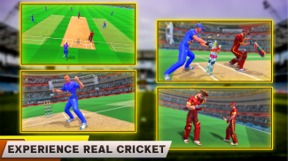 Indian Cricket League Game - T20 Cricket 2020 screenshot 16