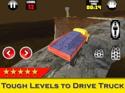 Trucker 3D Kahraman Oyunu screenshot 9