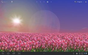 Tulip Field Lite LWP screenshot 0