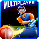 Cricket T20 Multiplayer