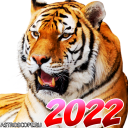 ГОРОСКОП 2022 – Знаки Зодиака Icon