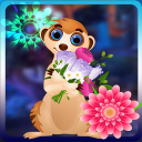 Rescue The Beloved Meerkat - Palani Games