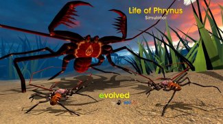 Life of Phrynus - Whip Spider screenshot 5