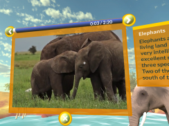 PI VR Large Animals screenshot 3