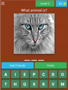 wich animal am I? screenshot 9