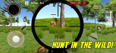 Jungle Hunt Safari 2021 screenshot 6