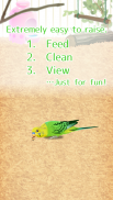 治愈的鹦鹉育成游戏 screenshot 1