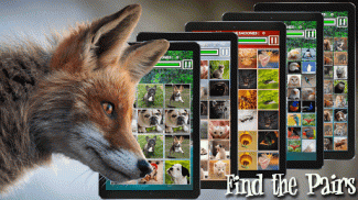 Memory Match - Jungle Animals screenshot 3