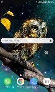 Golden Owl Live Wallpaper screenshot 0