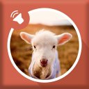 Sheep sounds Icon