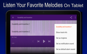 Melodies for Durability and Incentive screenshot 0