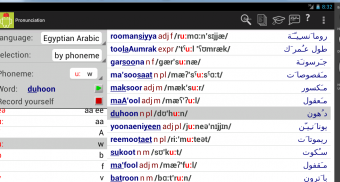 Egyptian Arabic Dictionary screenshot 10