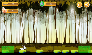 Cross Stepping Stones - forest screenshot 1